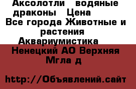 Аксолотли / водяные драконы › Цена ­ 500 - Все города Животные и растения » Аквариумистика   . Ненецкий АО,Верхняя Мгла д.